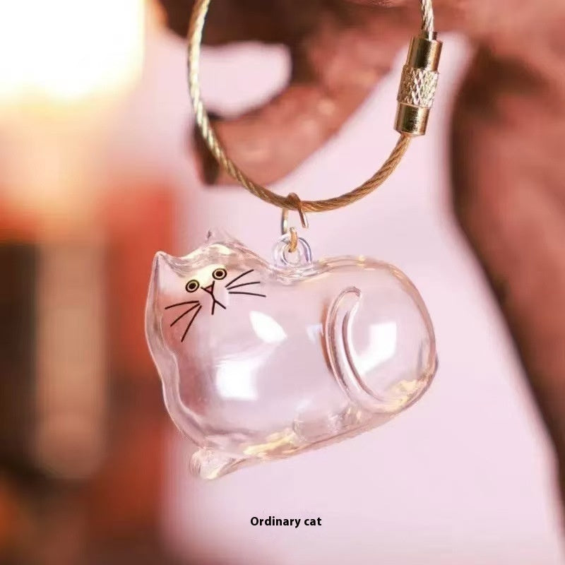 Transparent Cat Hair Storage Box Pendant Keychain