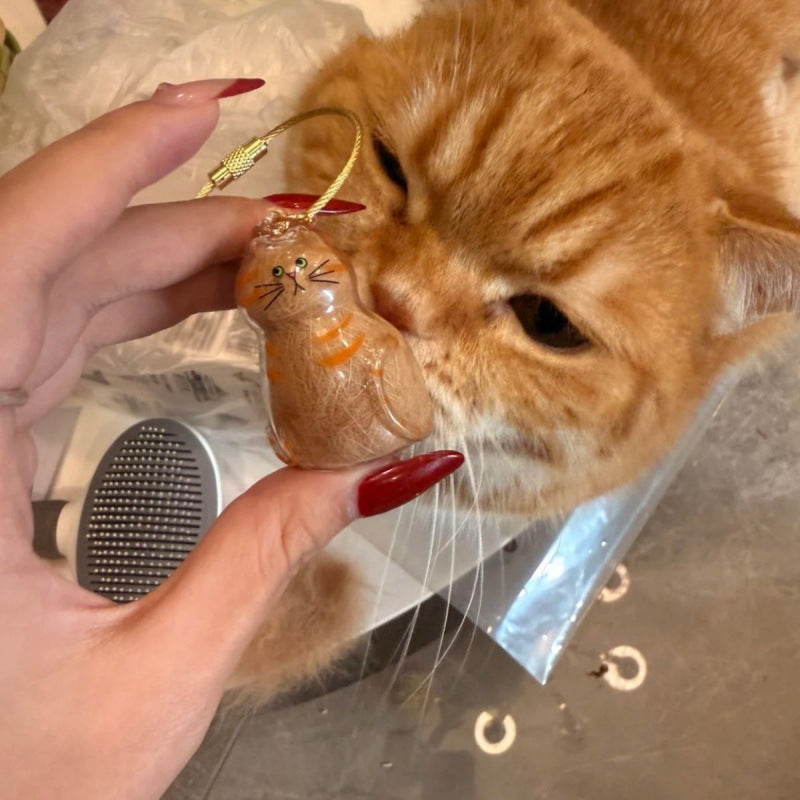 Transparent Cat Hair Storage Box Pendant Keychain