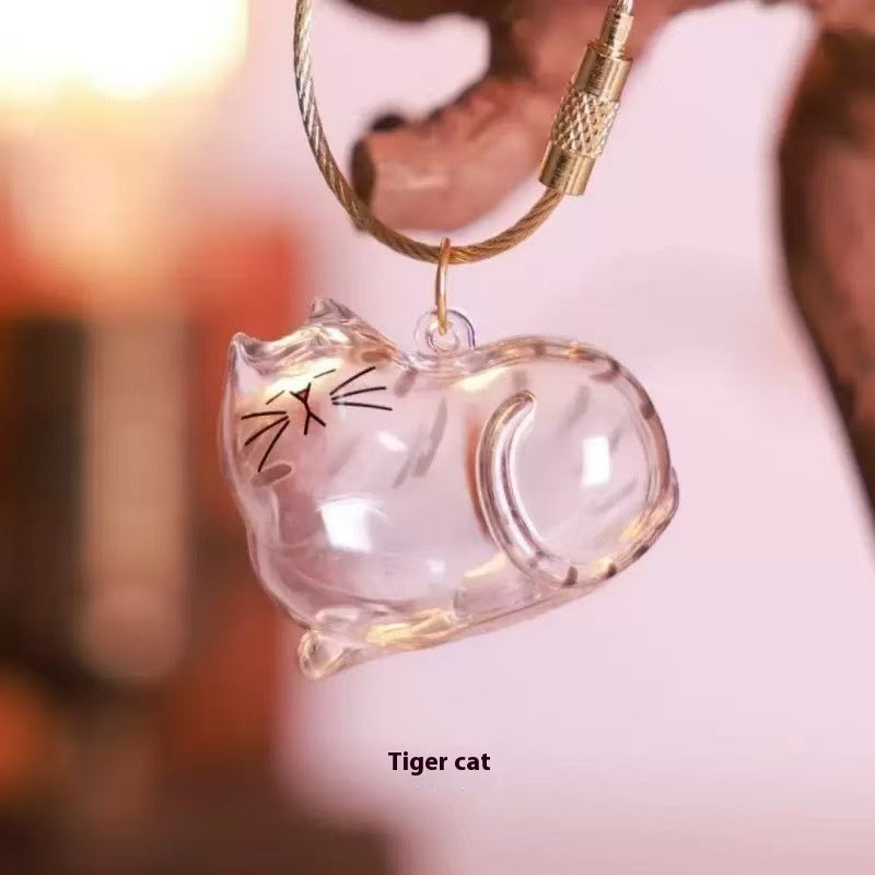 Transparent Cat Hair Storage Box Pendant Keychain