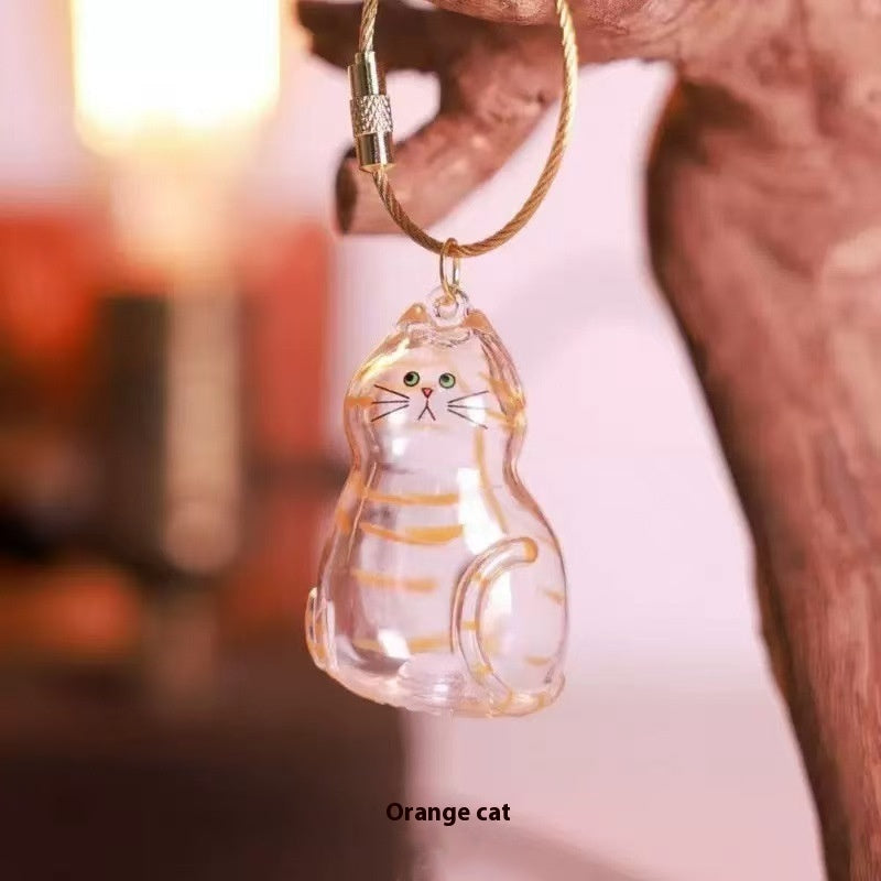Transparent Cat Hair Storage Box Pendant Keychain