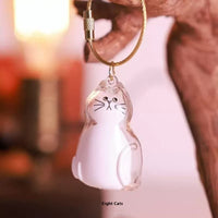 Transparent Cat Hair Storage Box Pendant Keychain