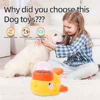 Dog Puzzle Feeder entertainment