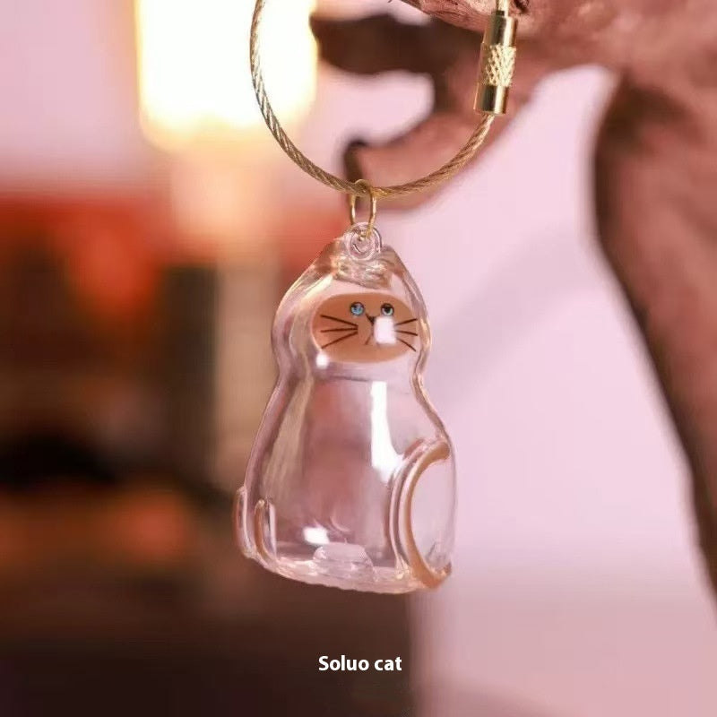 Transparent Cat Hair Storage Box Pendant Keychain