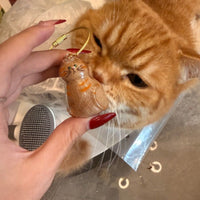 Transparent Cat Hair Storage Box Pendant Keychain